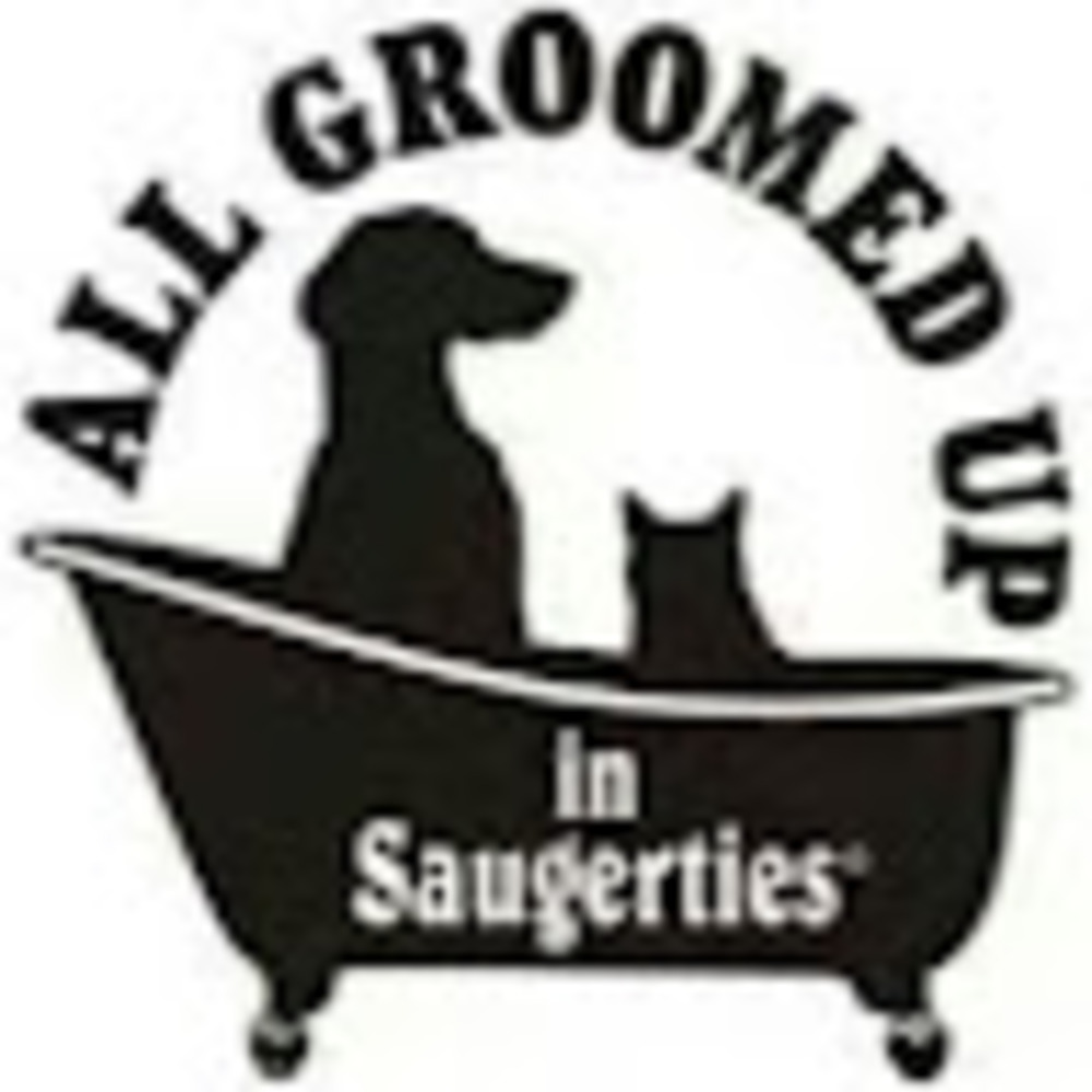 Meet your Posher, All groomed